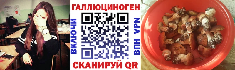 Псилоцибиновые грибы GOLDEN TEACHER  Нурлат 